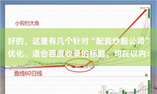 好的，这里有几个针对“配资炒股公司”优化、适合百度收录的标题，均在以内：